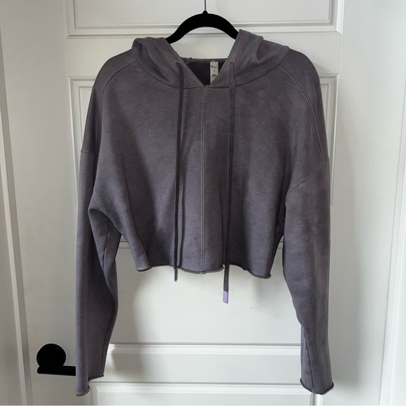 ALO Yoga Cropped Hoodie - Picture 3 of 10